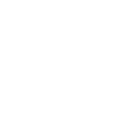 Geographic Scope